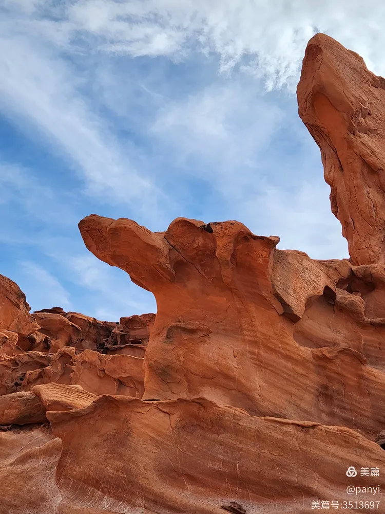 芬兰选手勇夺奖牌，奋力向前冲